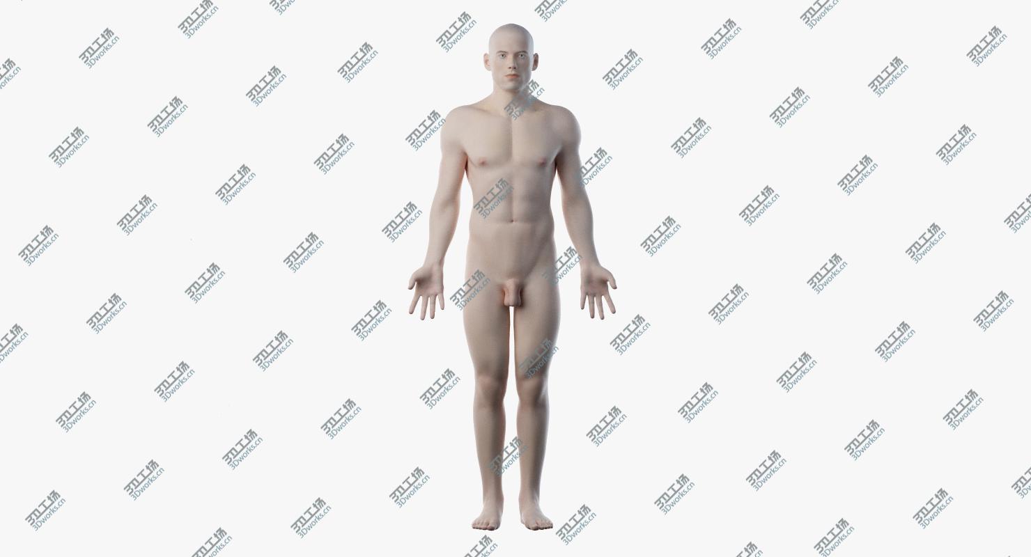 images/goods_img/2021040231/3D Male Skin, Skeleton And Nerves model/4.jpg